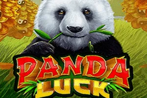 Panda Luck - RIVAL168