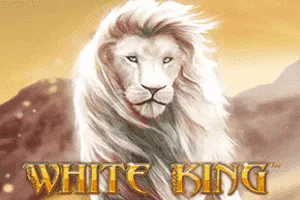 White King - RIVAL168