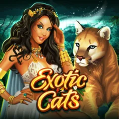 Exotic Cats - RIVAL168