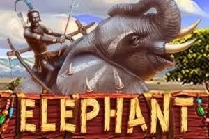 PLAYSTAR : ELEPHANT - RIVAL168