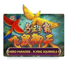 Bird Paradise - RIVAL168
