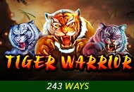 Spadegaming : Tiger Warrior - RIVAL168