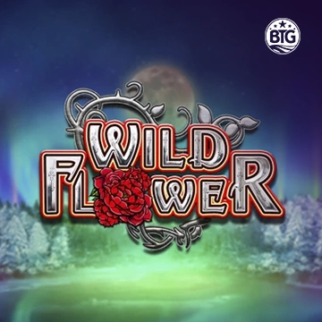 Bigtime : Wild Flower - RIVAL168