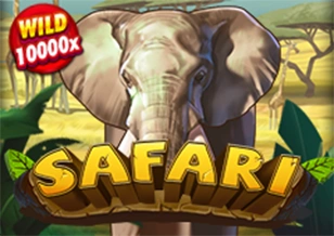 Safari - RIVAL168
